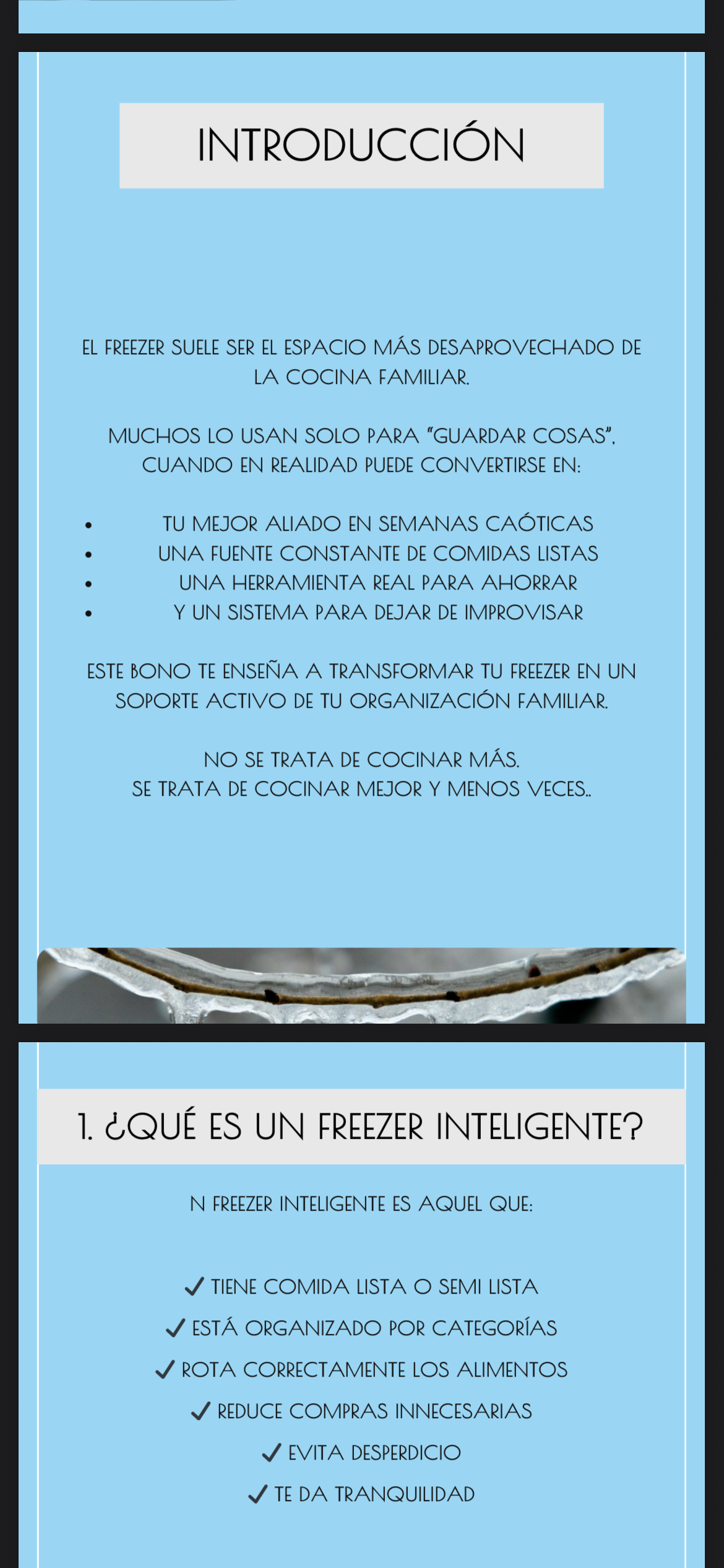 Manual de Comida Sin Estrés + 5 Bonos de Regalo